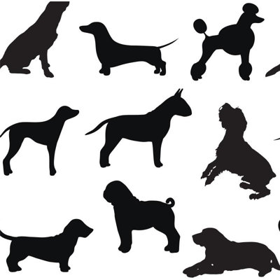 Dog Days Wallpaper Roll by Jamie Graney