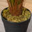 23.62'' Faux Palm Tree in Cement Pot
