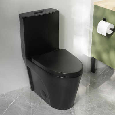 Ace 1.6 GPF Dual-Flush Toilet Modern Elongated One-Piece Toilet for Floor Mounted Glazed Surface (Seat Included)
