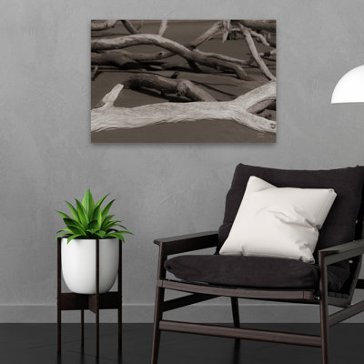 Georgia Driftwood II, bord de mer, noir, noir et blanc, gris, plage, noir