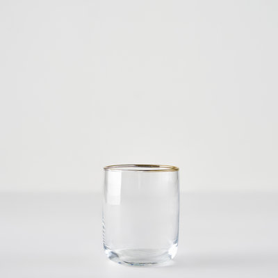Premium Tumbler With Silver/Gold Rim