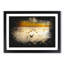 Birds On The Beach - Single Picture Frame Print on MDF-56867026-56867035