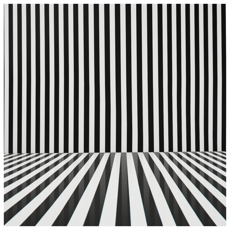 Black White Vertical Stripes Bedding Stripes Bedspread Pattern, Twin