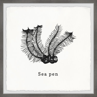 Thornaby Sea Pen C 1 Piece Single Picture Frame Wall Art