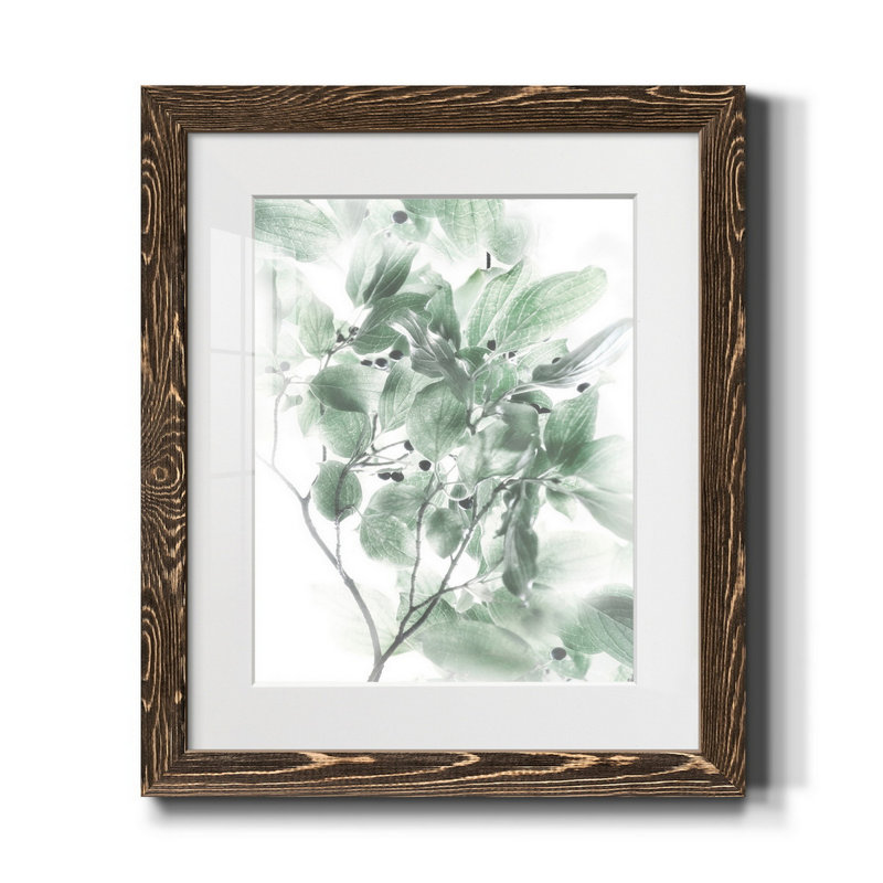 Berry Blush I - cadre photo, impression sur papier, H 24 po x l 18 po x P 1,5 po, Noyer