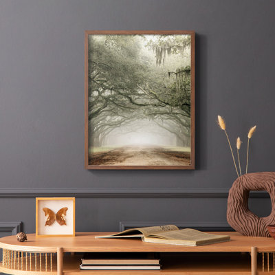 Plantation Drive Framed Print - Solid Wood