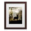 «Light Mystic Deer», art encadré mat-2023117258-2023117257
