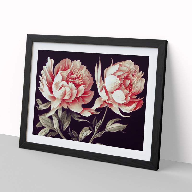 Flawless Peony Flowers - Single Picture Frame Print, 46cm H x 64cm W x 2cm D, Black