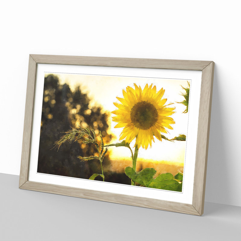 Sunflower Vol.2 - Picture Frame Painting, Oak Framed, 48cm H x 65cm W x 2cm D