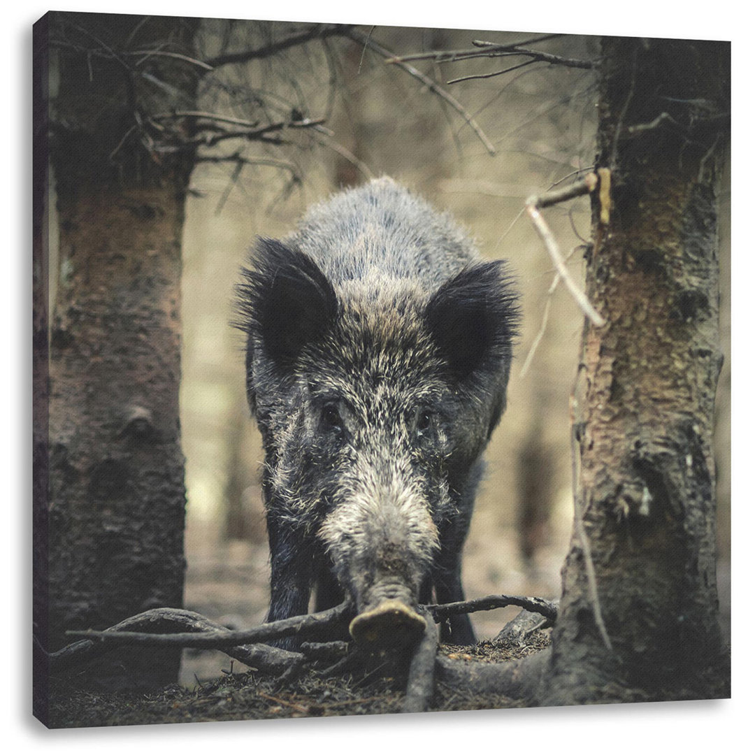 Leinwandbild Close Up Wildschwein im Wald