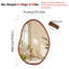 Atharva Solid Wood Novelty Wall Mirror-789638598