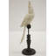 Nicarete Animals Figurines & Sculptures
