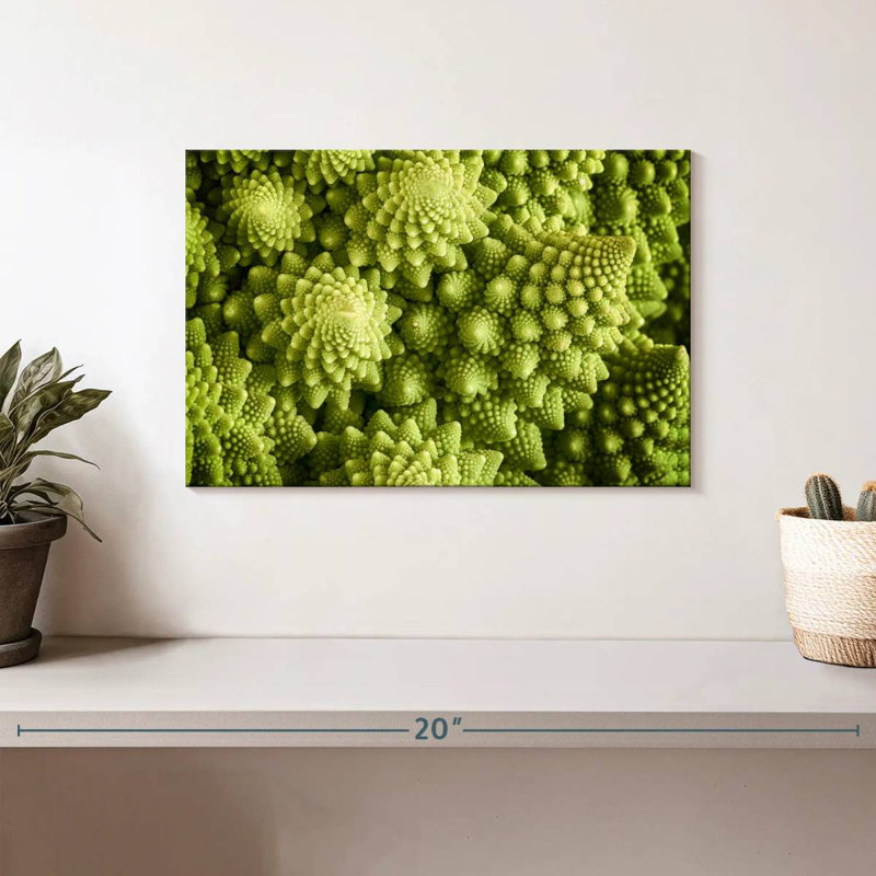 Fresh Romanesco Broccoli, 8" H x 12" W