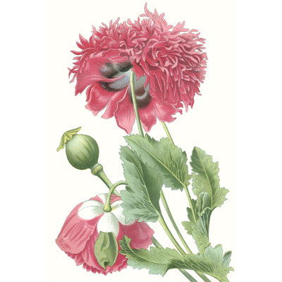 Floral Beauty V - Painting on Canvas