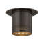 Berg Flush Mount-1385692814