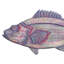 Snook poisson suspendu - rose patiné
