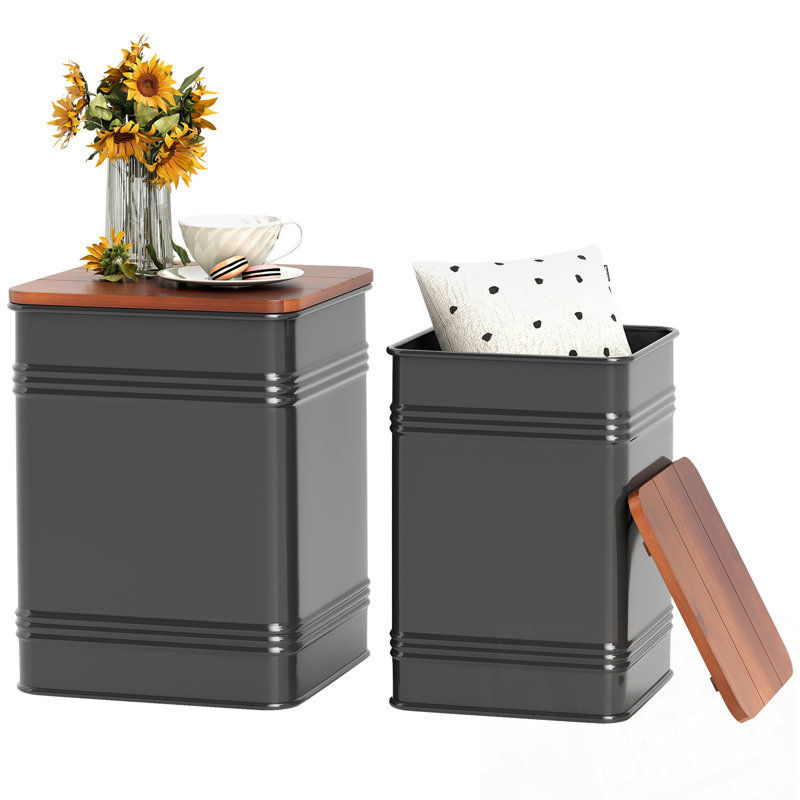 Ensemble de 2 tables de bout gigognes avec rangement et structure en métal