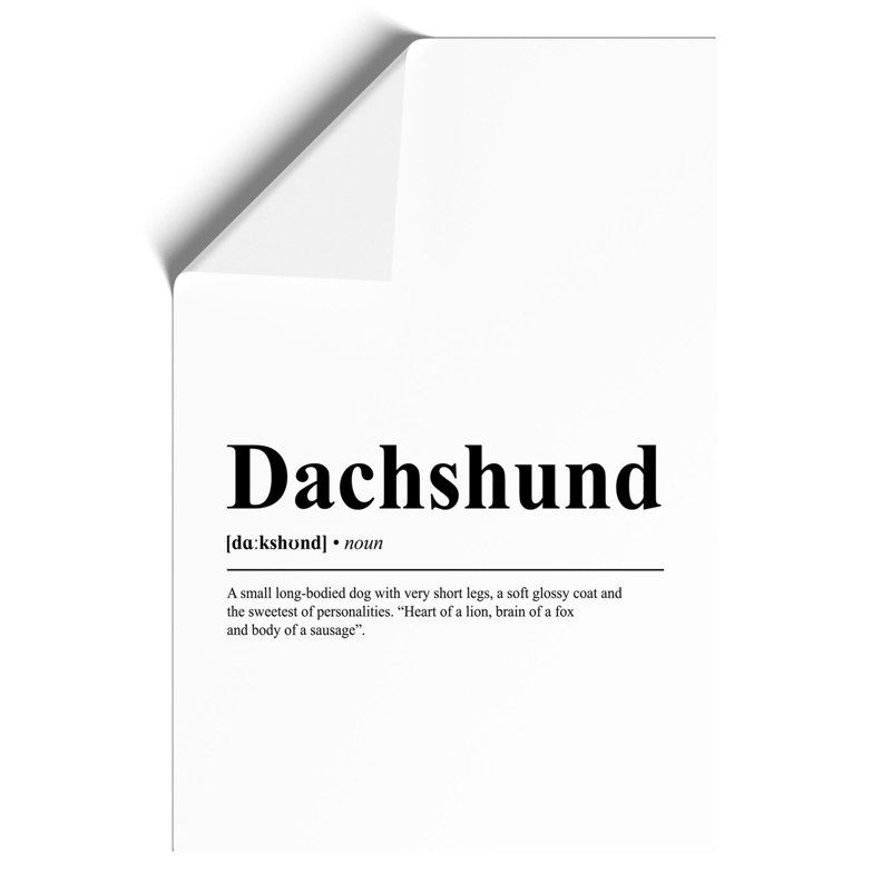 Dictionary Dachshund - Frameless Print, 30cm H x 21cm W x 0.1cm D