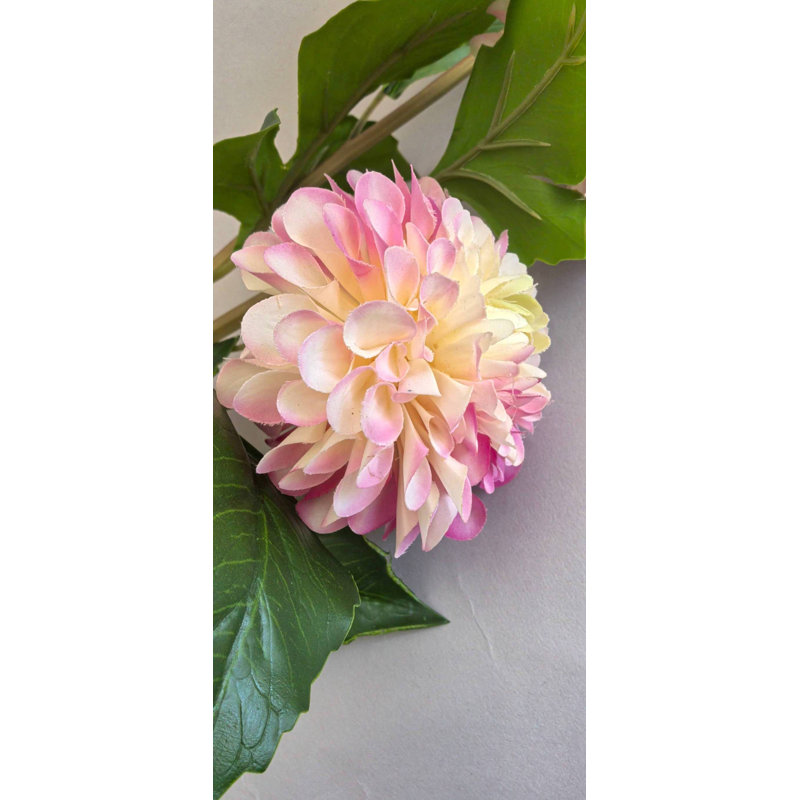 DAHLIA 2 FLEURS 1 BOUTON
