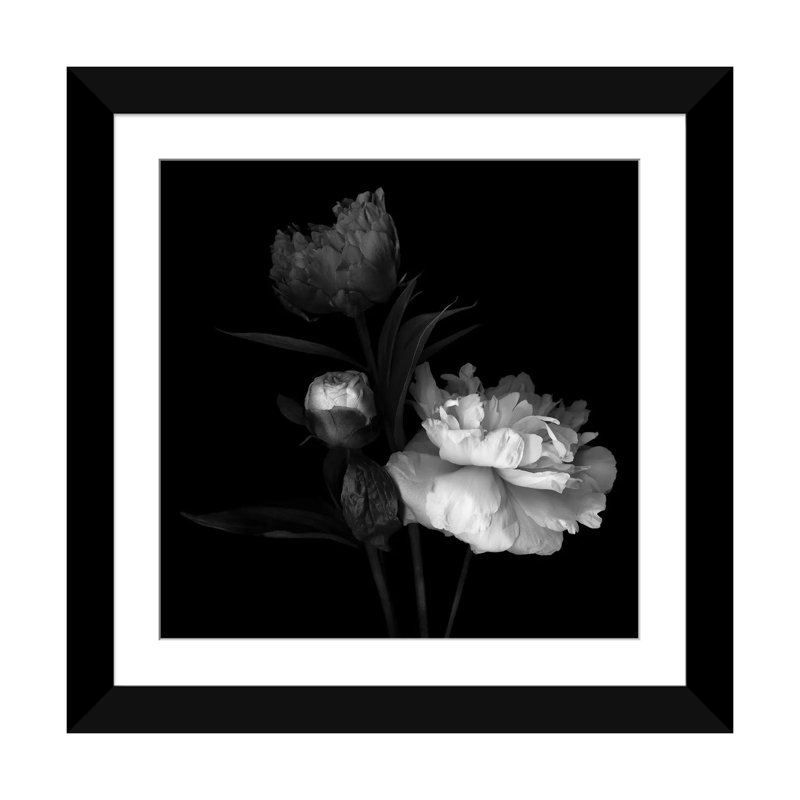 «Peony Mix, B&W» par Magda Indigo, impression sur toile, H 16 po x l 16 po x P 1 po, Papier avec cadre noir, Blanc