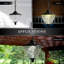 Eton LED Outdoor Pendant