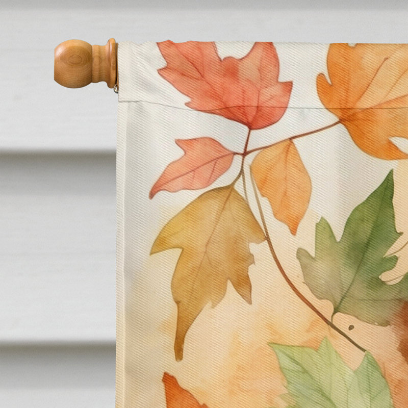 Chat en feuilles d'automne, Ragamuffin