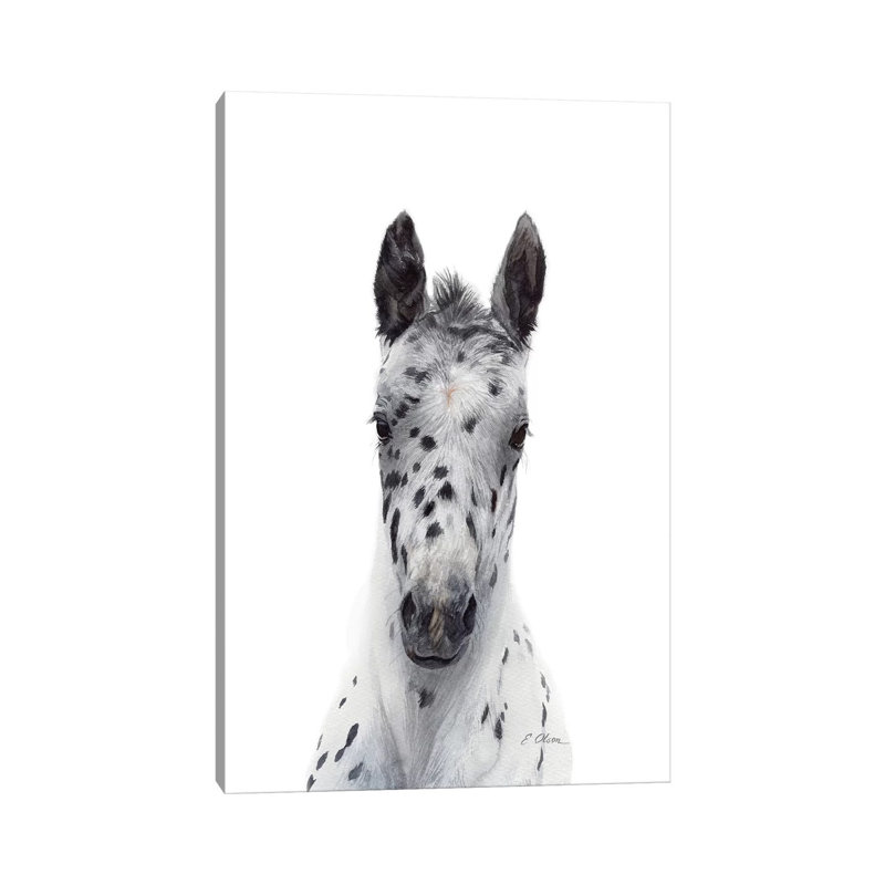 Poulain Appaloosa - reproduction d'art, Toile tendue, Pas de tapis, H 12 po x l 8 po x P 0,75 po