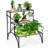 Metal Plant Stand
