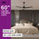 Inlight 60 IN. Integrated LED Indoor and Outdoor Ceiling Fan with Light and Remote, IN-0714-3-BK