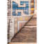Carshalt Rust/Blue Area Rug-2054637572
