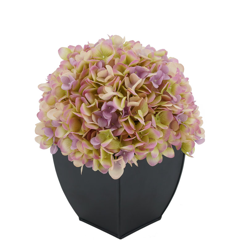 Arrangement floral hortensia en pot, Lilas