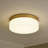 12in Round LED Lights Fixtures 5CCT 3000K-6500K Dimmable Flush Mount Ceiling Light Fixture-124965818-124965819