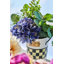Spectator Galvanized Flower Buckets, Set Of 3