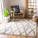 Barnes Geometric Hand Woven Area Rug