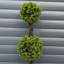 Faux Topiary in Pot Liner-112376041