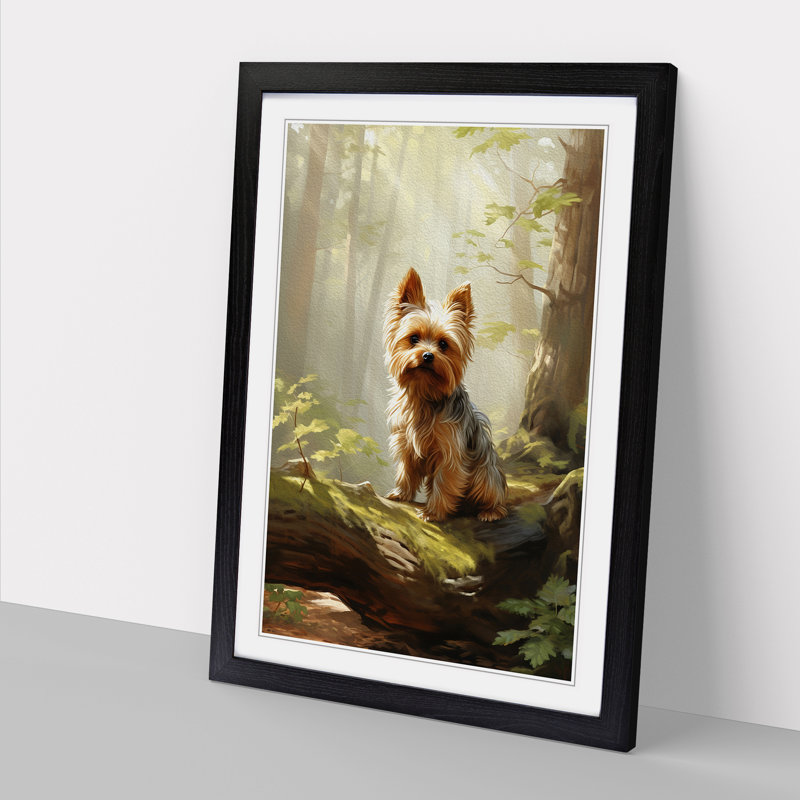 Yorkshire Terrier Informel - Single Picture Frame Print on Wood, Black, 46cm H x 34cm W x 2cm D
