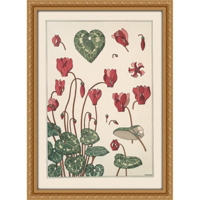 Cyclamen (1896)