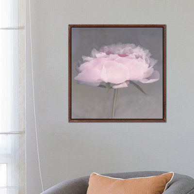 Jolie by Erin Clark - Print on Canvas