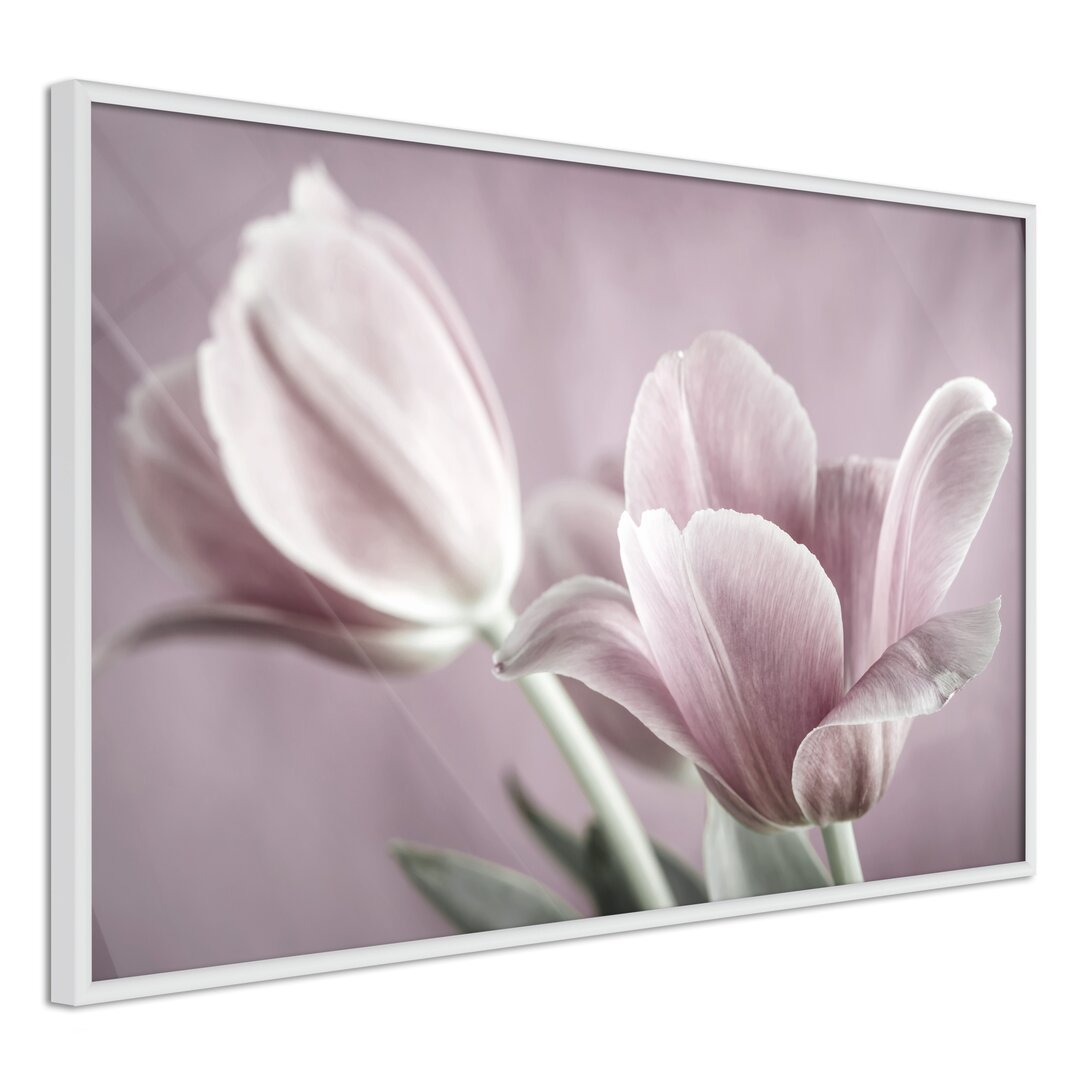 Gerahmtes Poster Pastel Tulips I