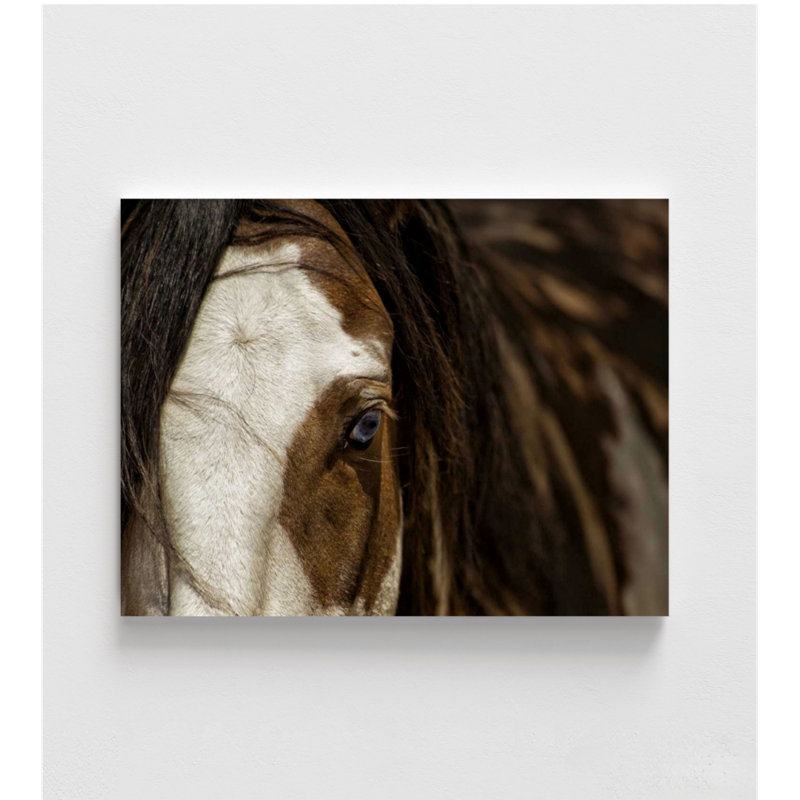 «Blue» par Lisa Dearing, cheval, école, idée de décoration de bureau, H 12 po x l 16 po, Ne s’applique pas