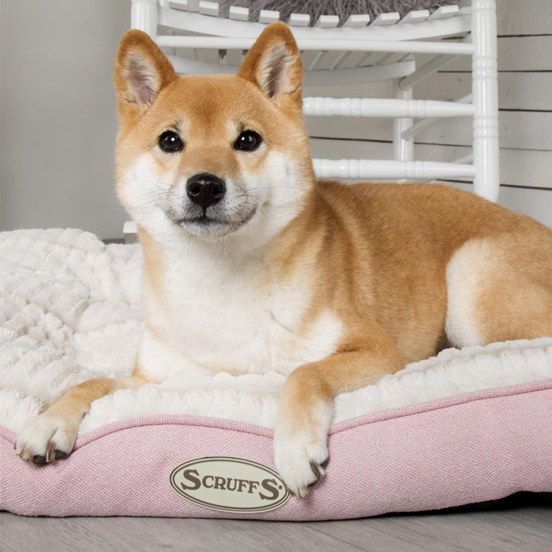 Ellen Polyester Pet Bed, Pink/Ivory