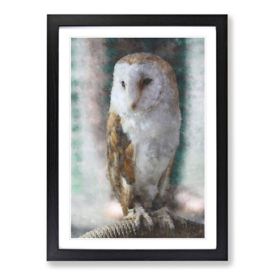 Barn Owl Vol.7 - Picture Frame Painting