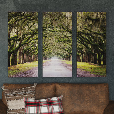 Oak Trees with Spanish Moss in Savanna Georgia by Cody York 3 Piece Photograph Set on Canvas