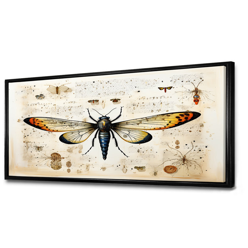 Schéma d'un papillon de nuit beige et jaune - insectes et art mural, Cadre flottant noir, H 28 po x l 60 po x P 1,5 po