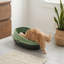 Cassiel Plastic Litter Box-245969235