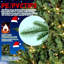 Arbre de Noël artificiel Sparkling Starburst - un sapin brillamment éclairé-1806165665-1806165677