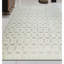 Wool Area Rug in Beige
