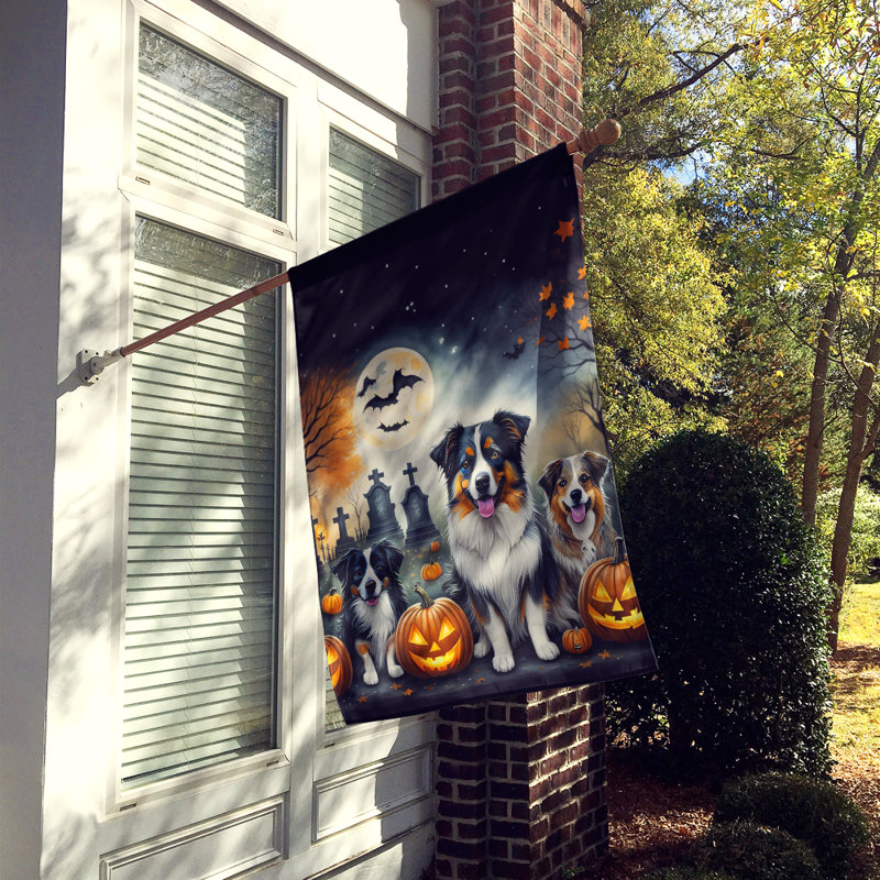 Drapeau de maison d'Halloween en polyester à double face H 40 po x l 28 po