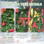 Arbre de Noël pop-up pliable-538550660