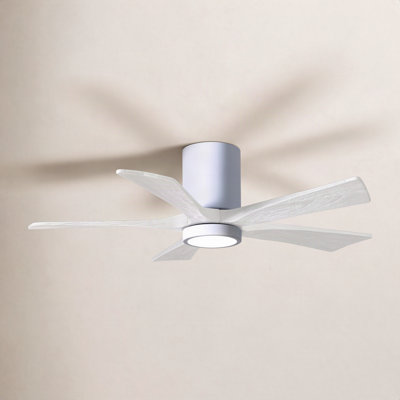 Irene Ceiling Fan with LED Light Kit